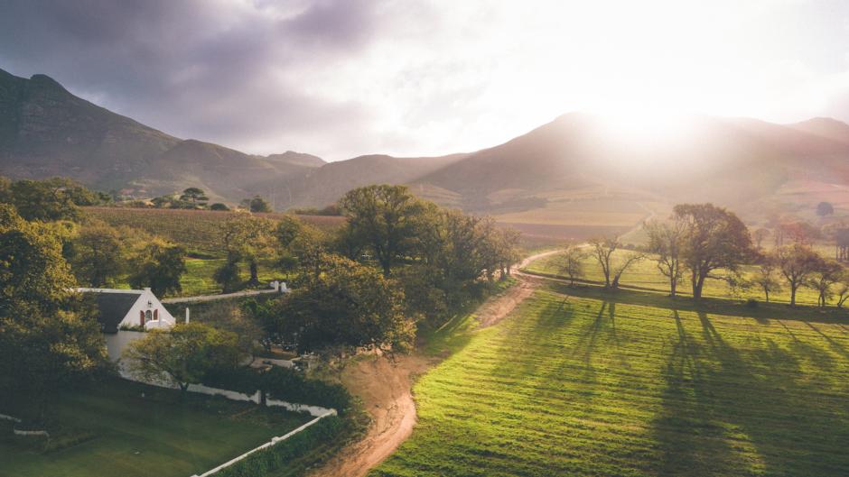 The Best Vineyard in Africa 2025